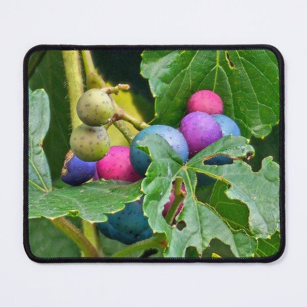 Item preview, Caterpillar snack designed and sold by ArztNacht.