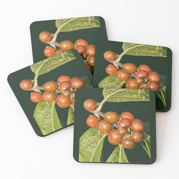 Item preview, Wild berry bunch designed and sold by ArztNacht.