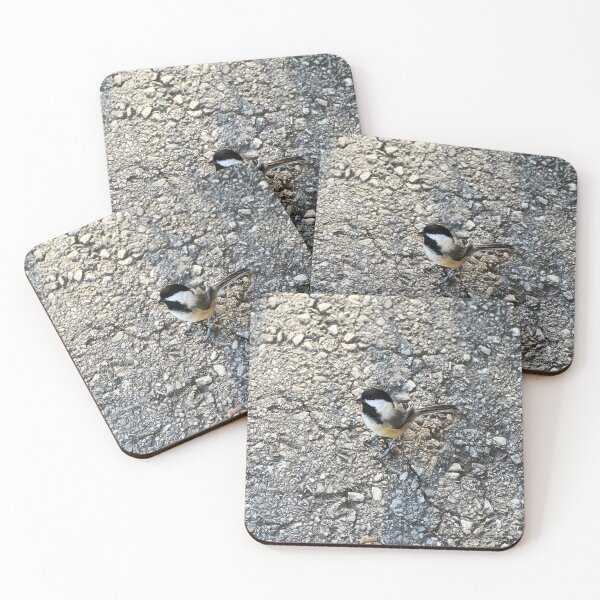 Item preview, Black-capped Chickadee Below Me Waiting For a Snack. designed and sold by BackyardBirder.