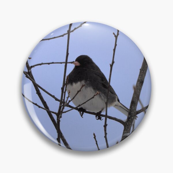 Item preview, Winter Dark-eyed Junco In a Tree designed and sold by BackyardBirder.