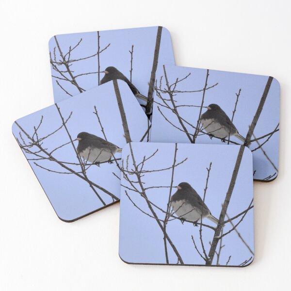 Item preview, Winter Dark-eyed Junco In a Tree designed and sold by BackyardBirder.