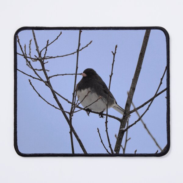 Item preview, Winter Dark-eyed Junco In a Tree designed and sold by BackyardBirder.