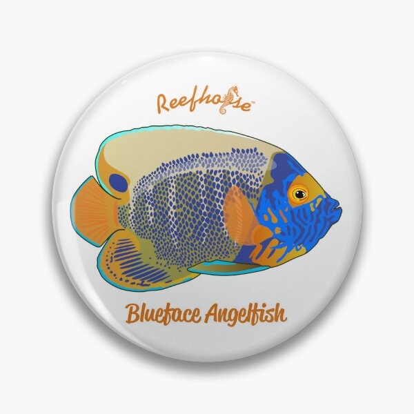 Item preview, Blueface Angelfish designed and sold by KaplanCrypto.