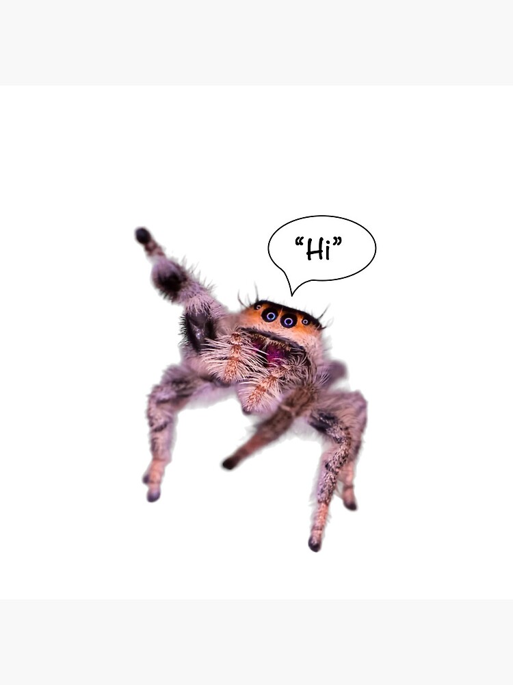 Thumbnail 3 of 3, Pin, Jumping Spider Saying “Hi” designed and sold by NaomiDoodeman.