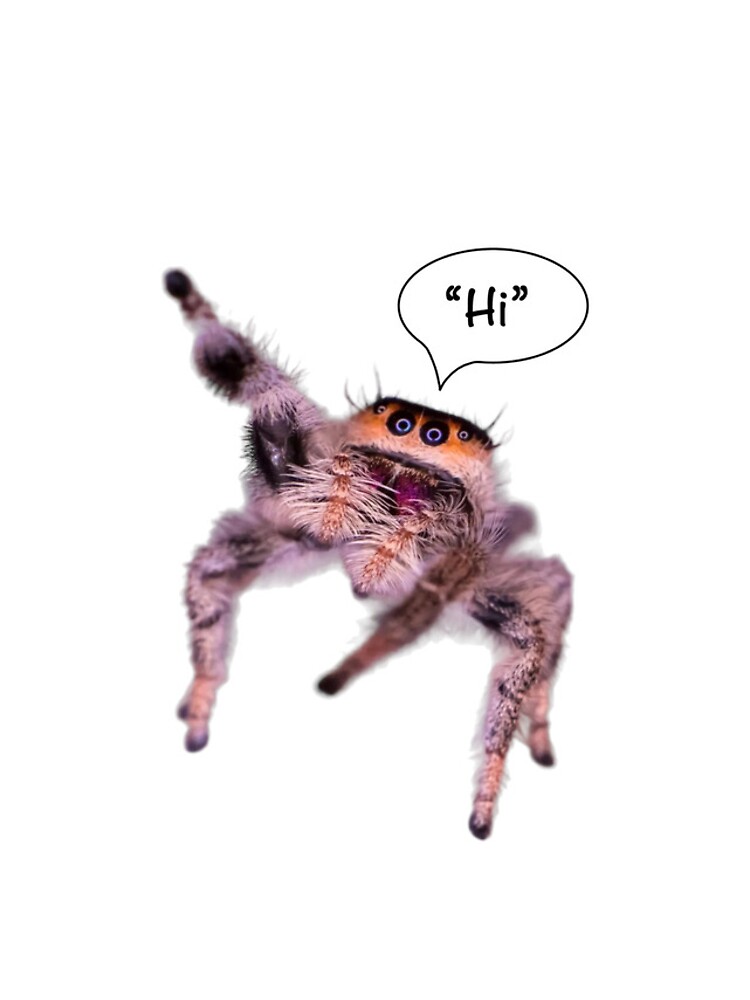 Thumbnail 4 of 4, iPhone Case, Jumping Spider Saying “Hi” designed and sold by NaomiDoodeman.