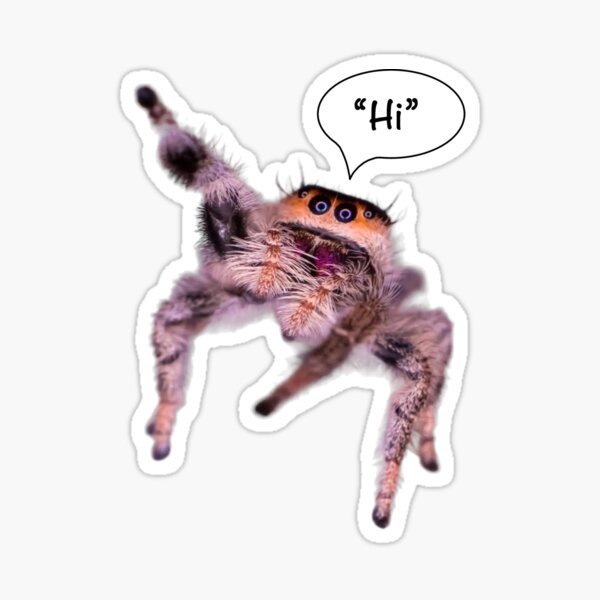 Artikel-Vorschau von Springspinne sagt „Hallo“, designt und verkauft von Art OnTheSpectrum.