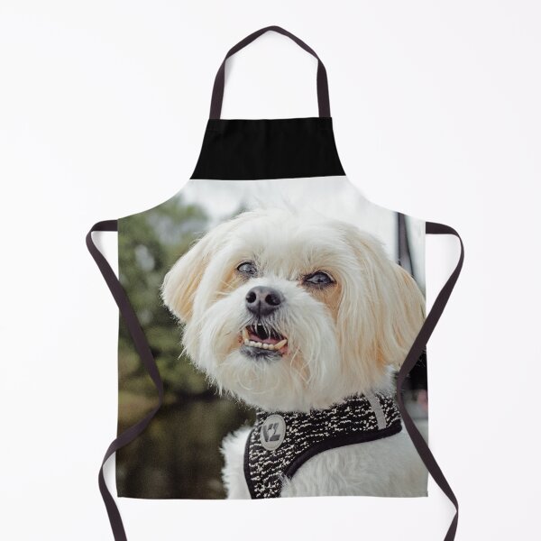 Item preview, Taking a Ride designed and sold by Susan Werby.