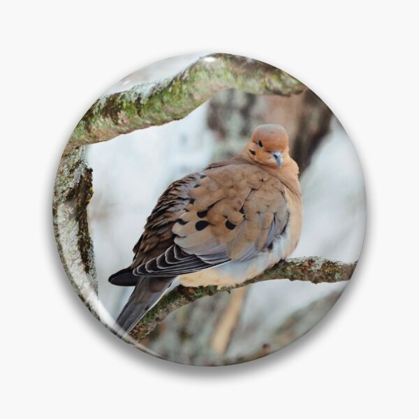 Item preview, Mourning Dove Staring At The Camera designed and sold by BackyardBirder.