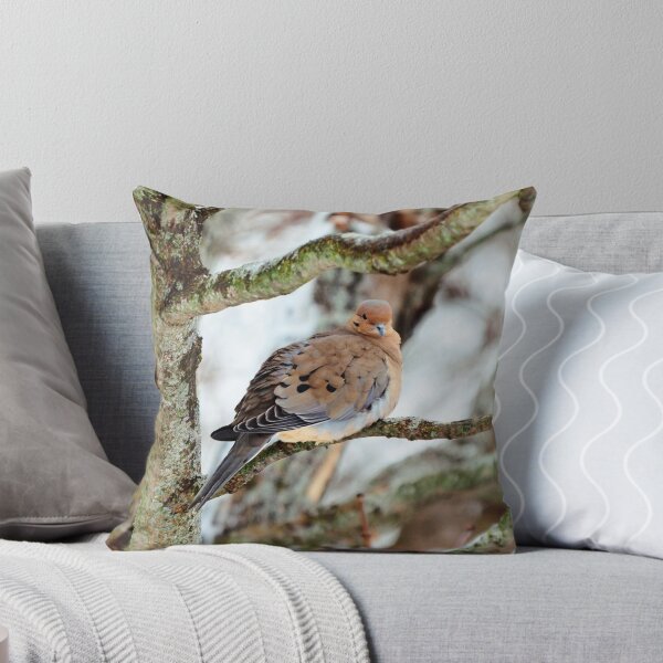 Item preview, Mourning Dove Staring At The Camera designed and sold by BackyardBirder.