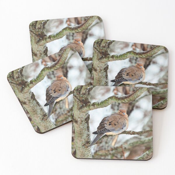 Item preview, Mourning Dove Staring At The Camera designed and sold by BackyardBirder.