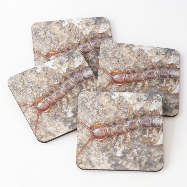 Item preview, Stone centipede designed and sold by SDym Photography.