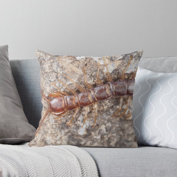 Item preview, Stone centipede designed and sold by SDym Photography.