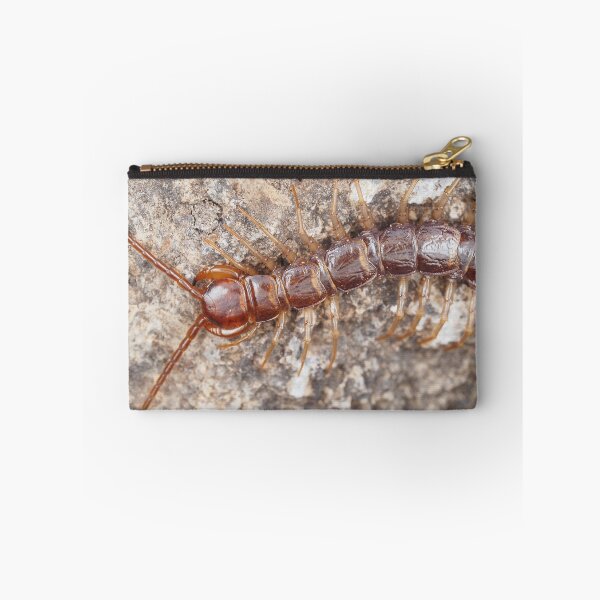 Item preview, Stone centipede designed and sold by SDym Photography.