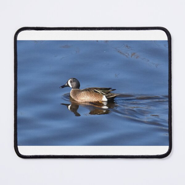Item preview, Blue-winged Teal on the river designed and sold by Eleu Tabares.