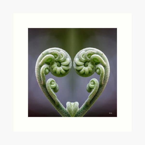 Item preview, At the Heart designed and sold by Aires Photography.