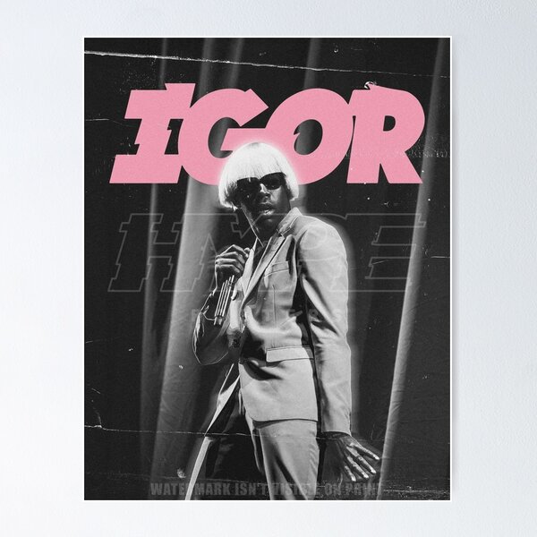 Tyler, the Creator 'IGOR' Poster – The Indie Planet