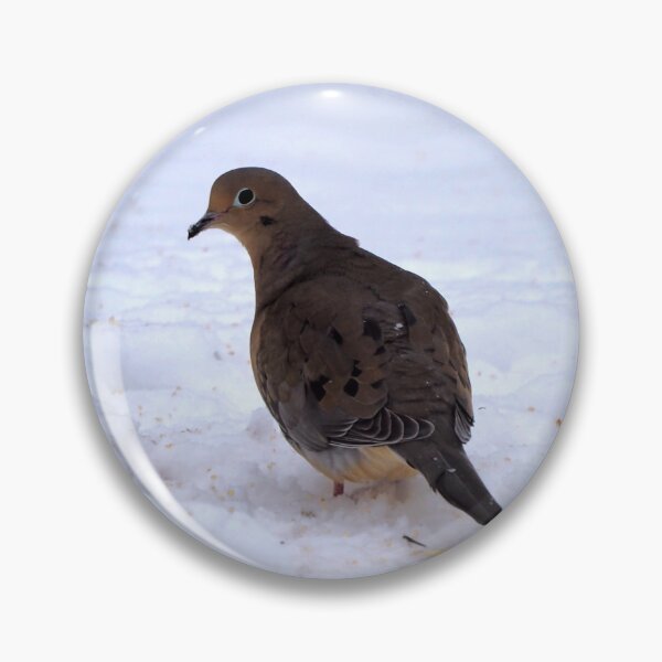 Item preview, Watchful Winter Mourning Dove On The Snow designed and sold by BackyardBirder.