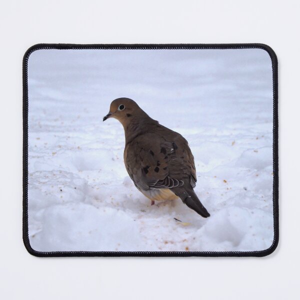 Item preview, Watchful Winter Mourning Dove On The Snow designed and sold by BackyardBirder.