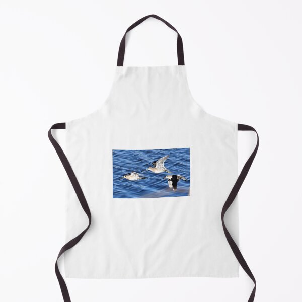 Item preview, Marbled Gotwit in flight designed and sold by Eleu Tabares.