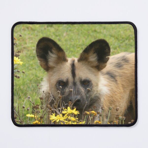Item preview, Caught designed and sold by amberstiger.