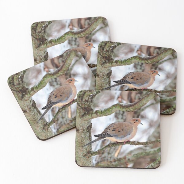 Item preview, Mourning Dove Perched In a Tree Staring At The Camera In The Winter designed and sold by BackyardBirder.