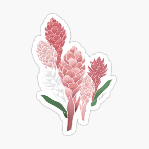 Item preview, Light and Dark Pink Hawaiian Tower Ginger  designed and sold by Idimedley.