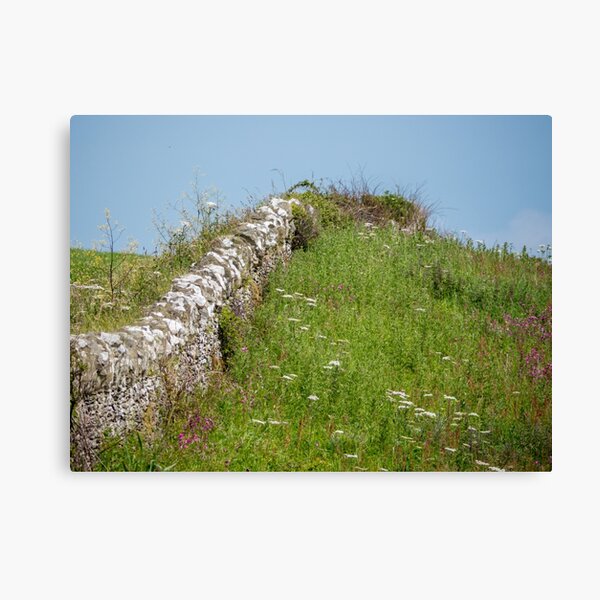 Item preview, Wembury Dry Stone Wall designed and sold by Jon Rendle.