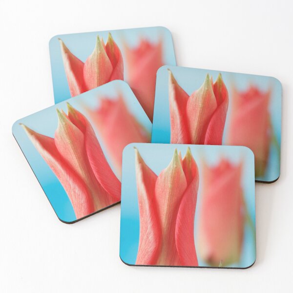 Item preview, Tulipa linifolia  Flax-leaved tulip  Miscellaneous tulip	 designed and sold by Chris Burrows.