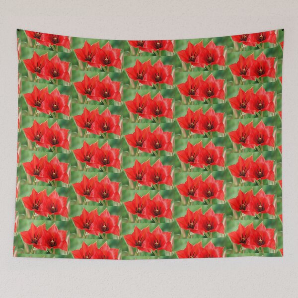 Item preview, Tulipa linifolia  Flax-leaved tulip  Miscellaneous tulip	 designed and sold by Chris Burrows.