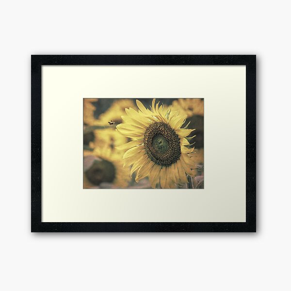 Item preview, Champ de tournesols Bumble Bee Art moderne de ferme rurale A417 designed and sold by byNicol.