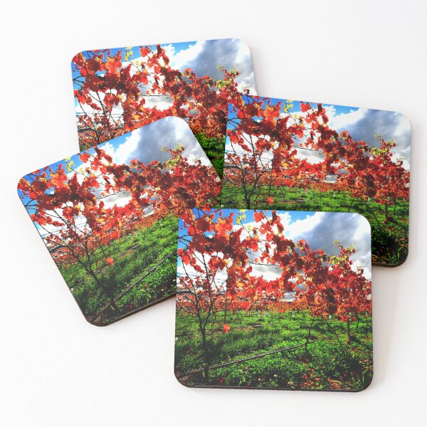 Item preview, autumn, eastcoast tasmania, australia designed and sold by bodhiimages.