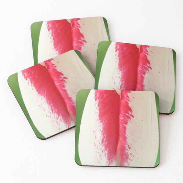 Item preview, Tulipa  'Denise'  Tulip  Triumph Group   designed and sold by Chris Burrows.