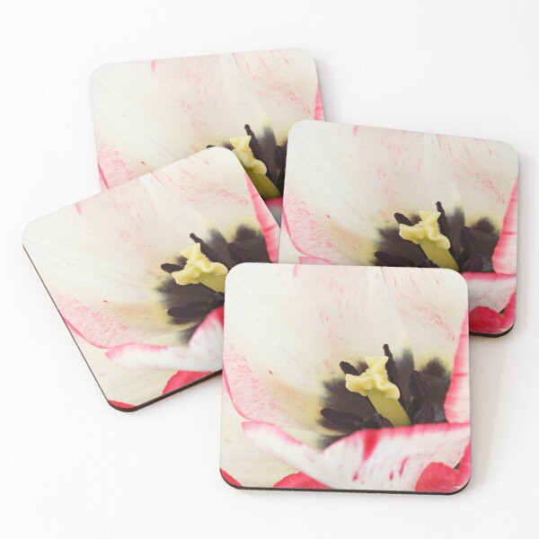 Item preview, Tulipa  'Denise'  Tulip  Triumph Group  designed and sold by Chris Burrows.