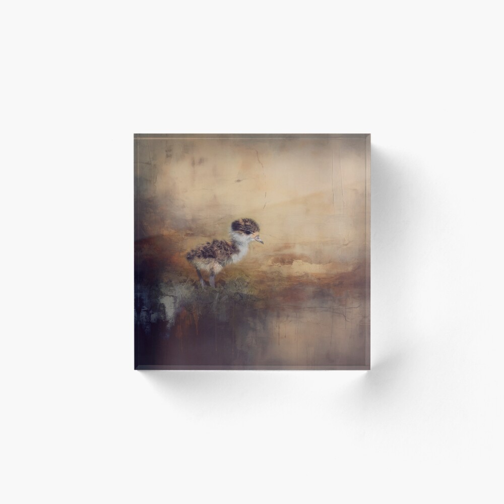 Item preview, Acrylic Block designed and sold by Sabvaning.