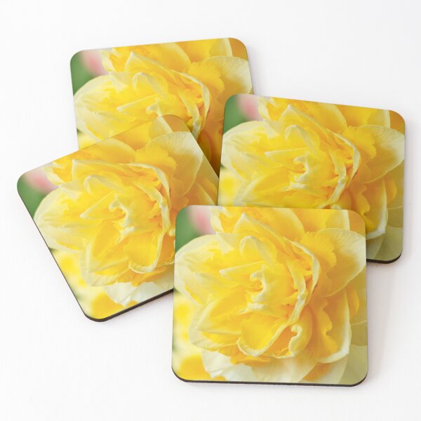 Item preview, Narcissus  'Dick Wilden'  Daffodil  Div.  4 Double   designed and sold by Chris Burrows.