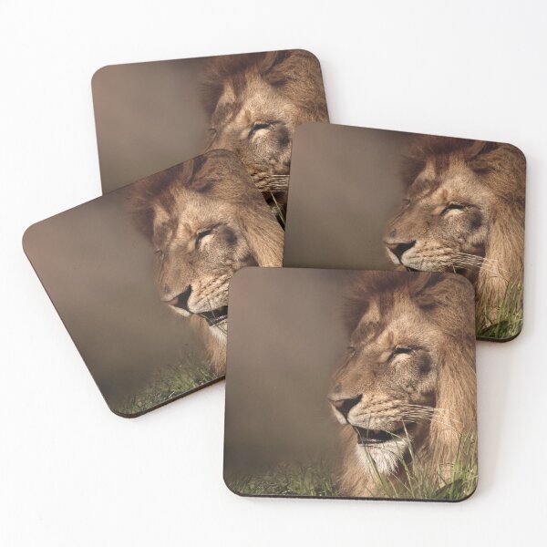 Item preview, Lion enjoys the sunshine designed and sold by MvMeer.