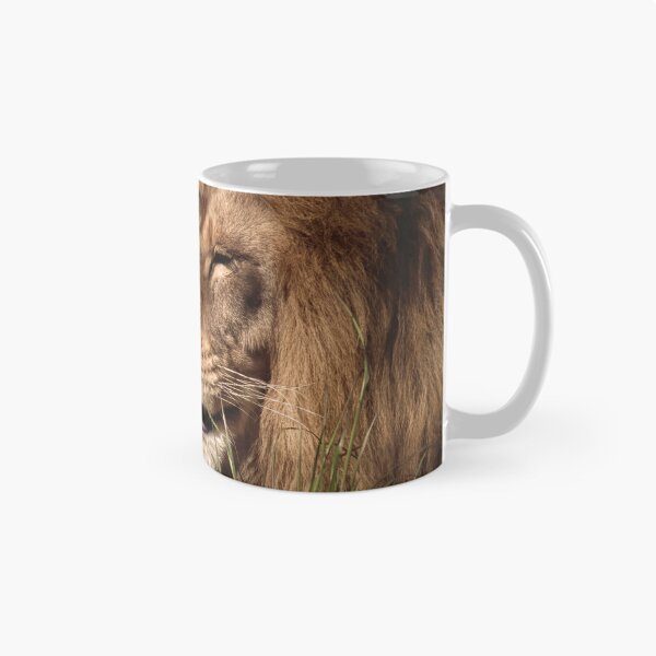 Item preview, Lion enjoys the sunshine designed and sold by MvMeer.