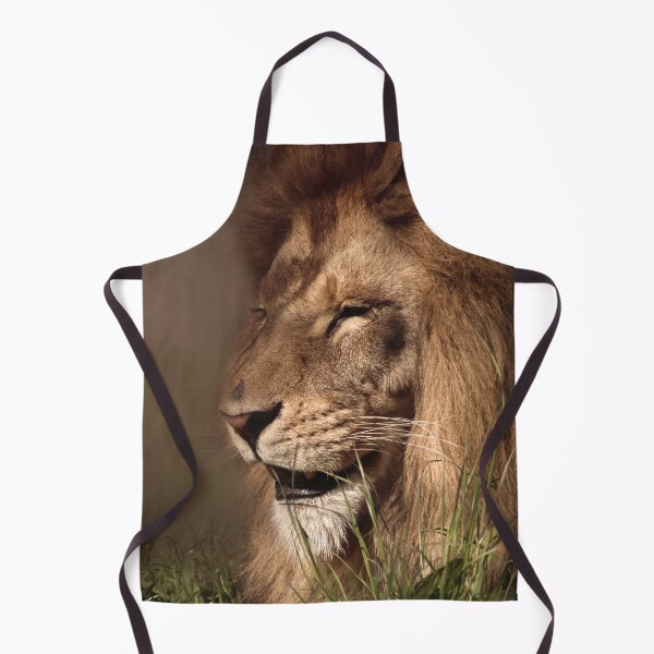 Item preview, Lion enjoys the sunshine designed and sold by MvMeer.
