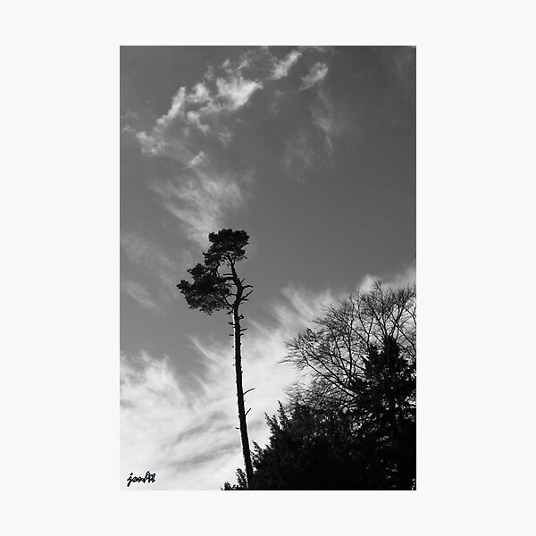 Item preview, Lonesome Pine designed and sold by jonAt.