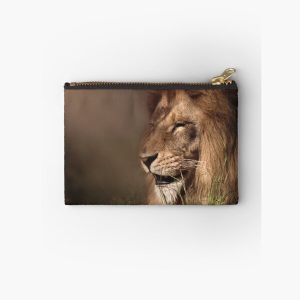 Item preview, Lion enjoys the sunshine designed and sold by MvMeer.