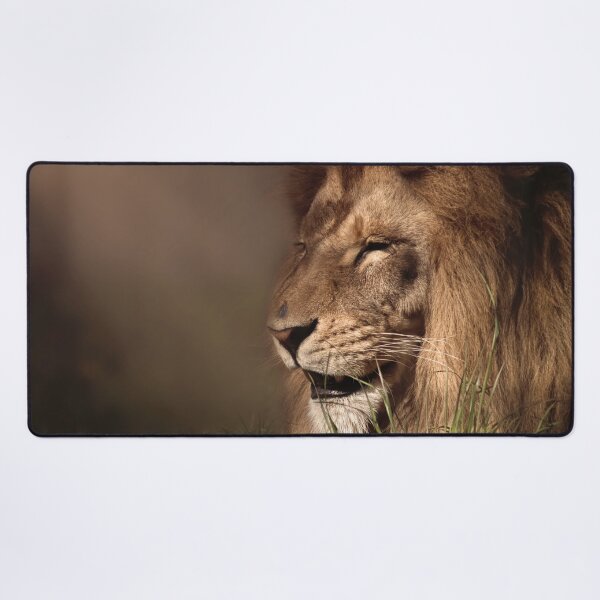 Item preview, Lion enjoys the sunshine designed and sold by MvMeer.