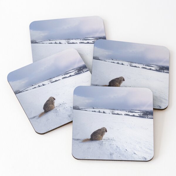 Item preview, Snow covered Spinone view designed and sold by FOLK ART FUSION by heidiannemorris.