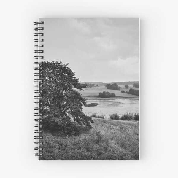 Item preview, Sarkkilanjarvi in rain bw designed and sold by Jouko Lehto Photography.