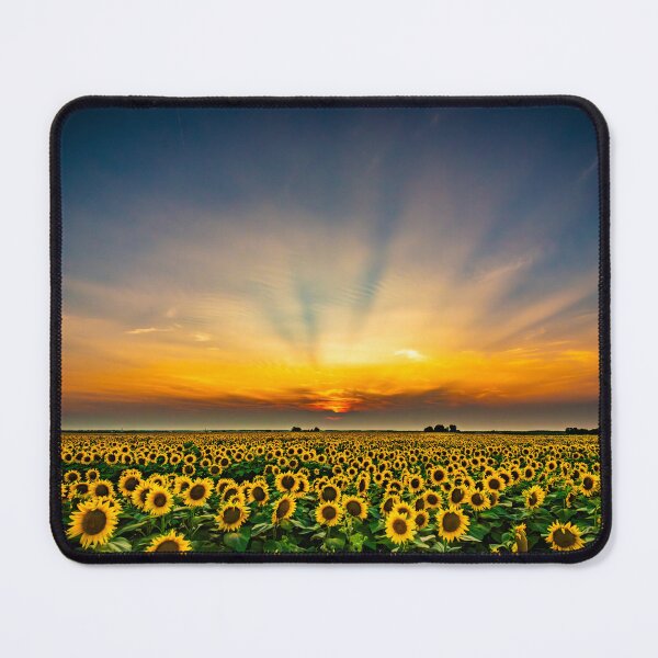 Item preview, Sunflower field at sunset designed and sold by Mark Clodfelter.