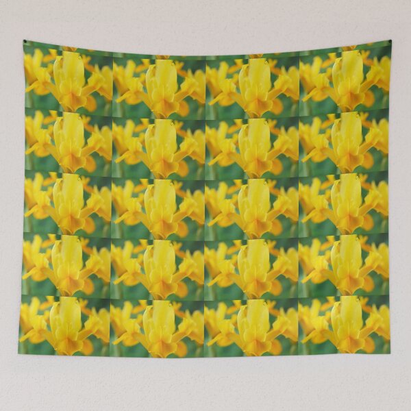 Item preview, Iris  'Royal Yellow'  Dutch iris   designed and sold by Chris Burrows.