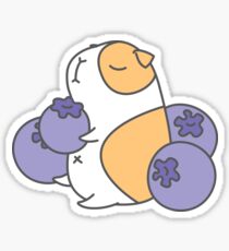 Guinea pig and blueberry Sticker