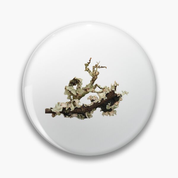 Item preview, Lichen Stick-Insect designed and sold by Art OnTheSpectrum.