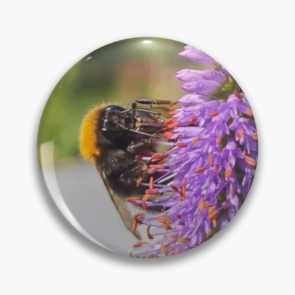 Artikelvorschau, Hummel auf einer rosa Blume entworfen und verkauft von WildEncounters.