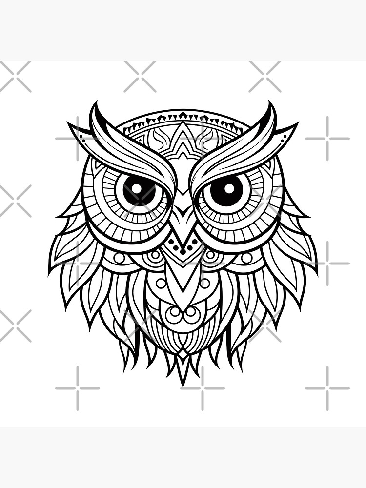 Gorgeous Owl Drawing Cartoon Photos - Simple Owl Drawing