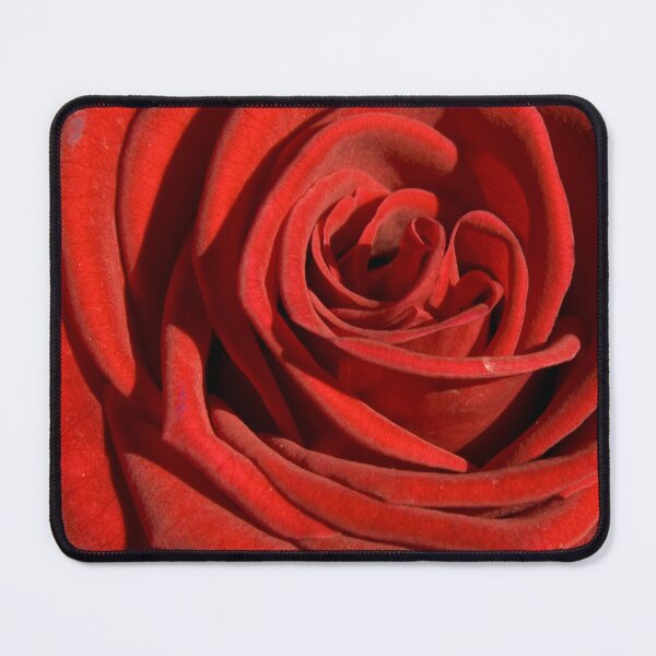 Item preview, Close up of the petals in a Red rose. designed and sold by sandyprints.